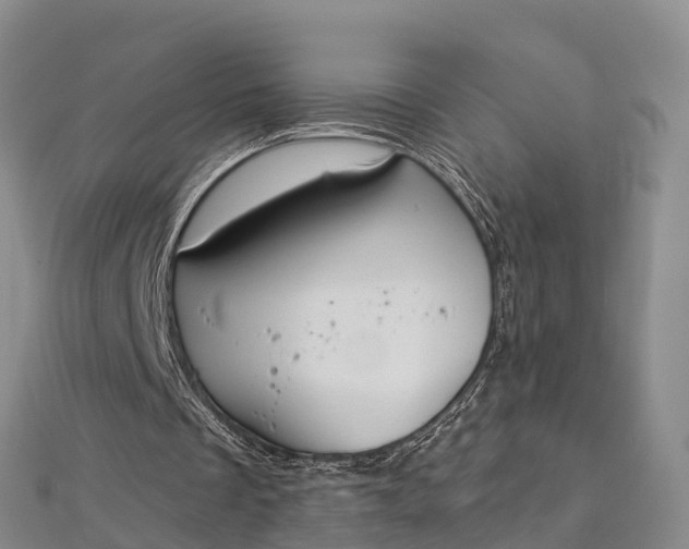 X0000112720289200909031422