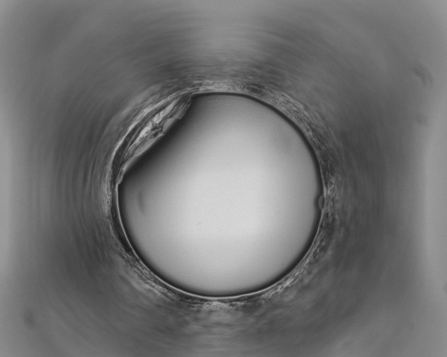 X0000112720290200909031422