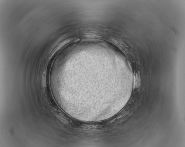 X0000112720291200909031422