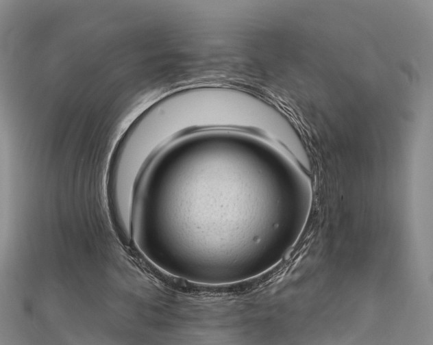 X0000112720292200909031422