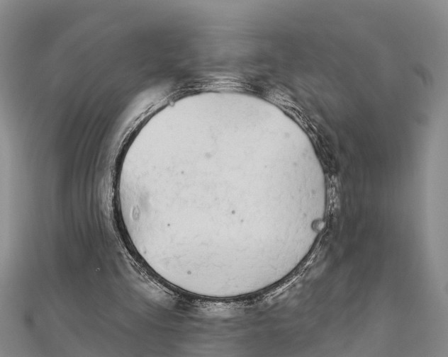 X0000112720293200909031422