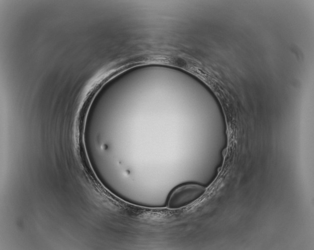 X0000112720294200909031422