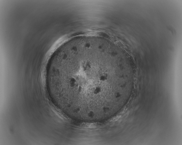 X0000112720295200909031422