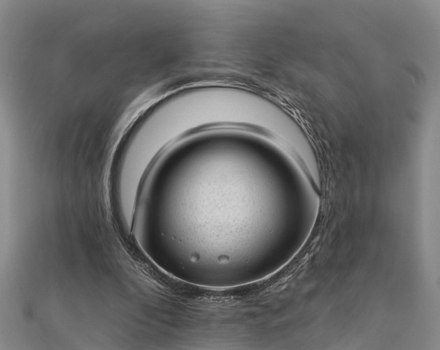 X0000112720296200909031422