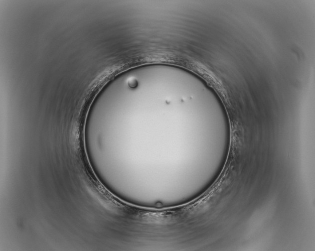 X0000112720298200909031422