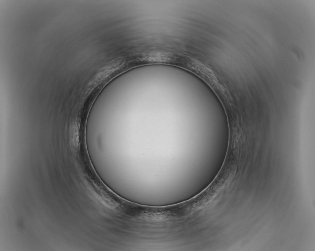 X0000112720299200909031422