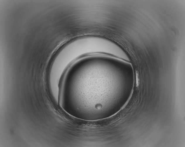 X0000112720300200909031422