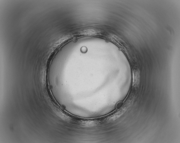 X0000112720301200909031422