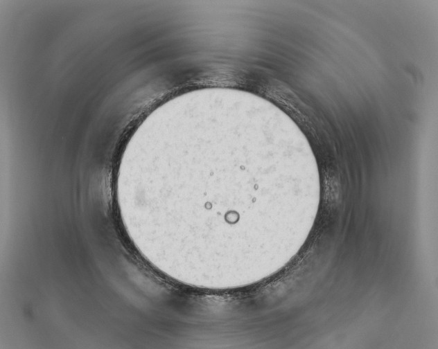 X0000112720302200909031422