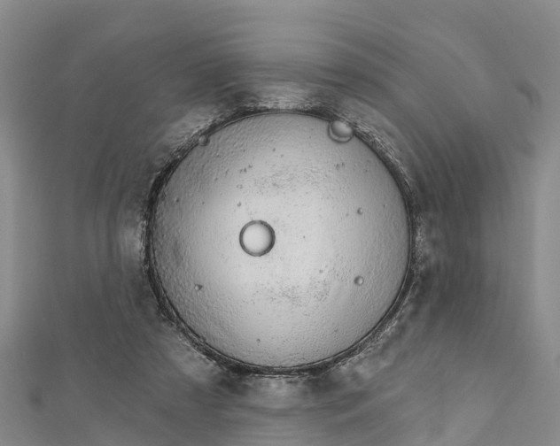 X0000112720305200909031422