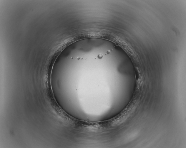 X0000112720306200909031422