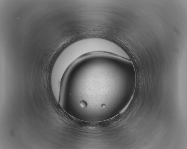 X0000112720308200909031422