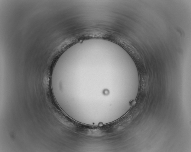 X0000112720309200909031422