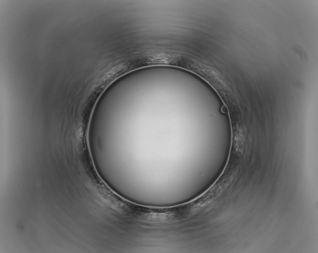 X0000112720314200909031422