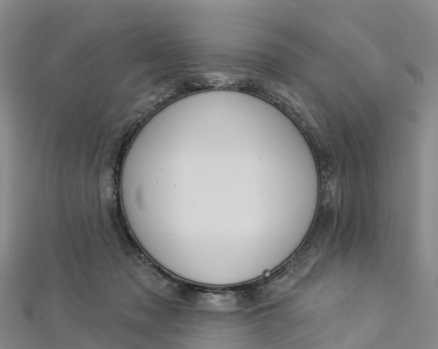 X0000112720317200909031422