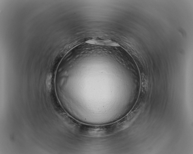 X0000112720319200909031422