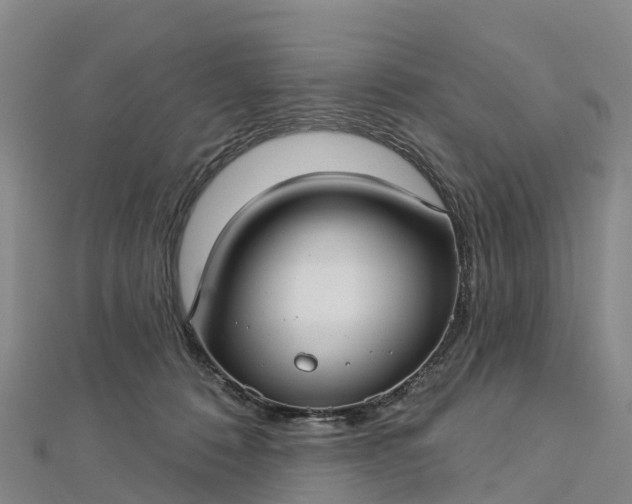 X0000112720320200909031422