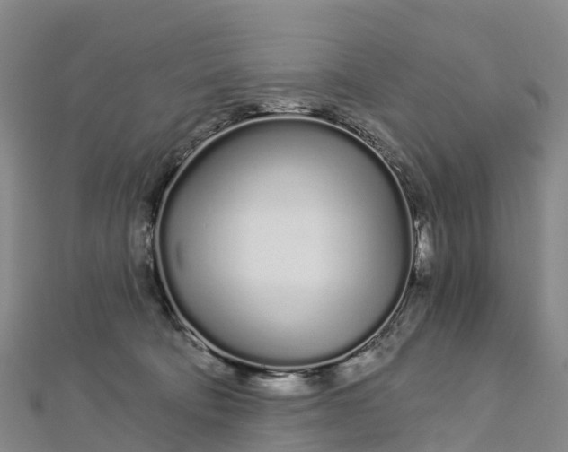 X0000112720322200909031422