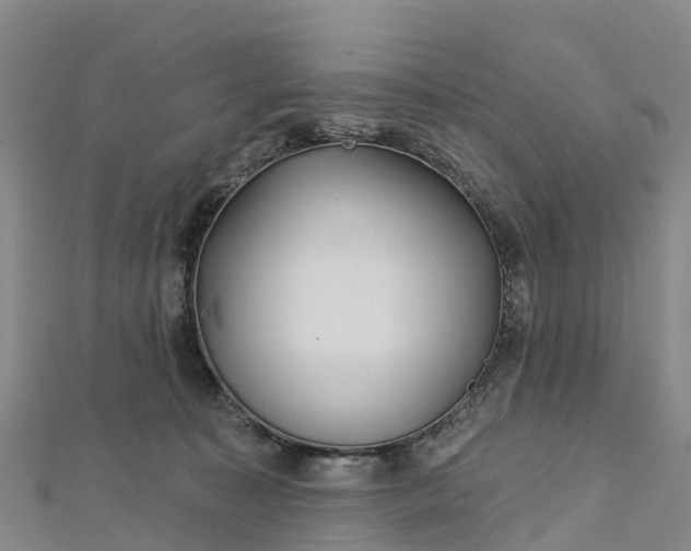 X0000112720323200909031422