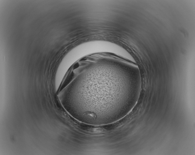 X0000112720324200909031422