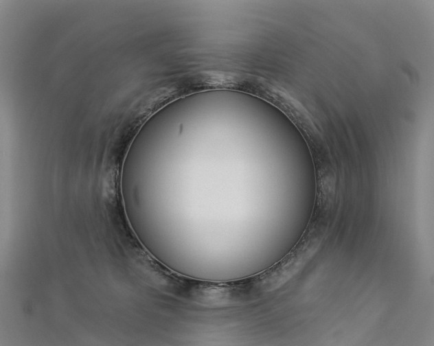 X0000112720325200909031422