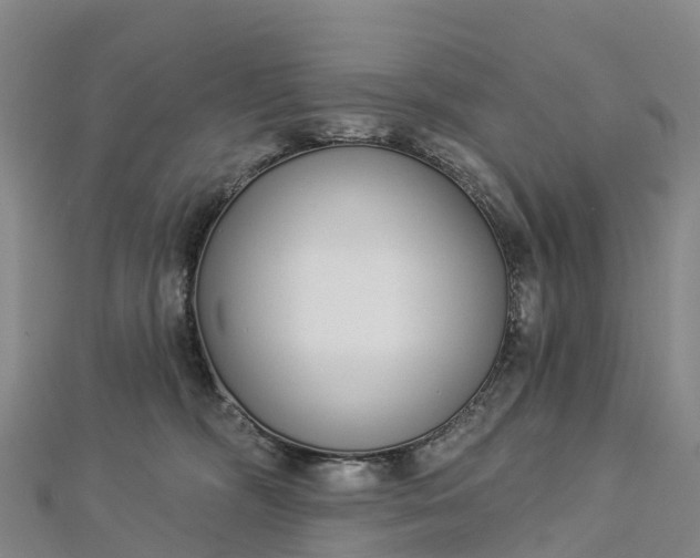 X0000112720326200909031422