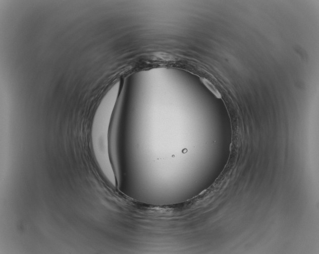 X0000112720328200909031422