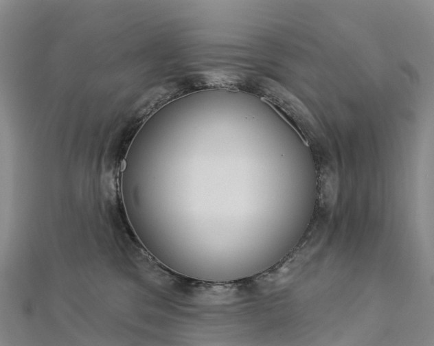 X0000112720329200909031422