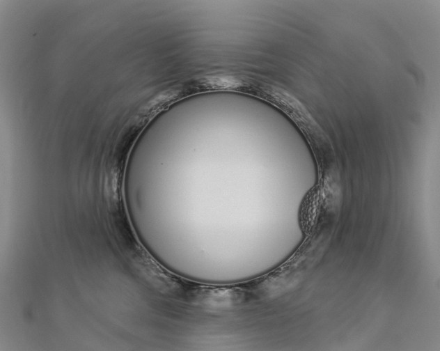 X0000112720330200909031422