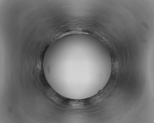 X0000112720331200909031422