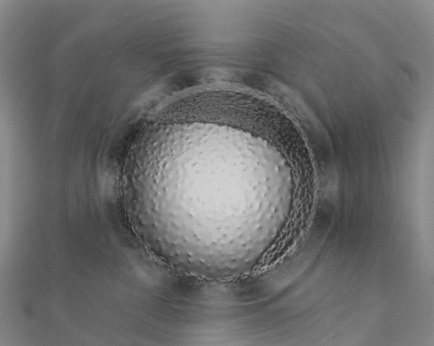 X0000112720332200909031422