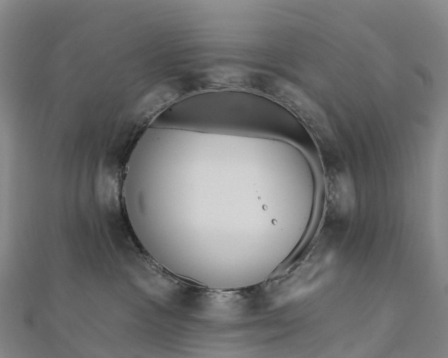 X0000112720333200909031422