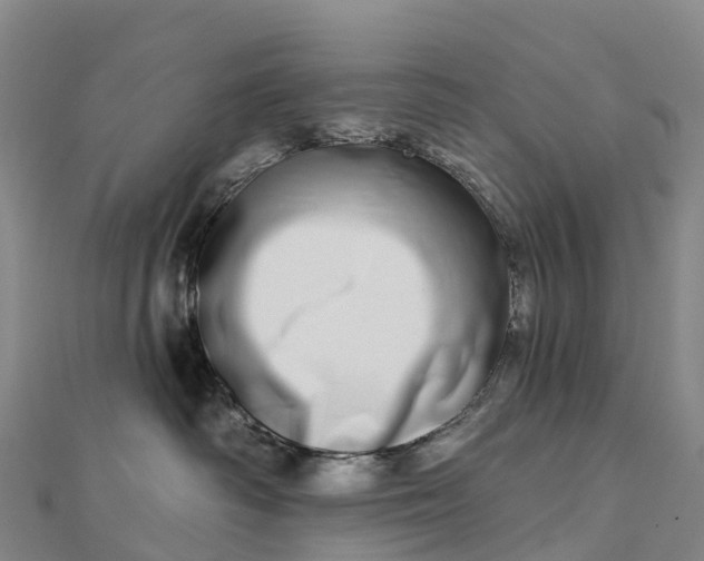 X0000112720334200909031422