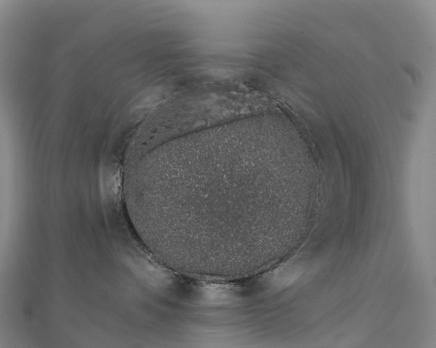 X0000112720336200909031422