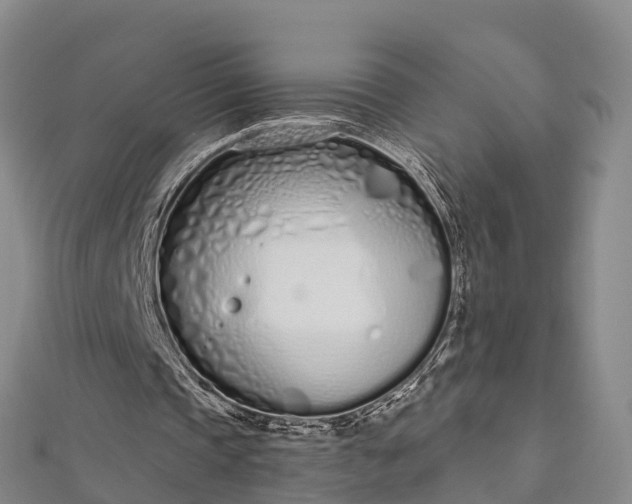 X0000112720337200909031421