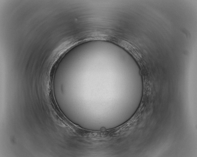 X0000112720338200909031421