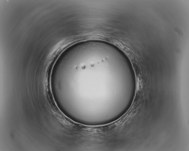 X0000112720339200909031421