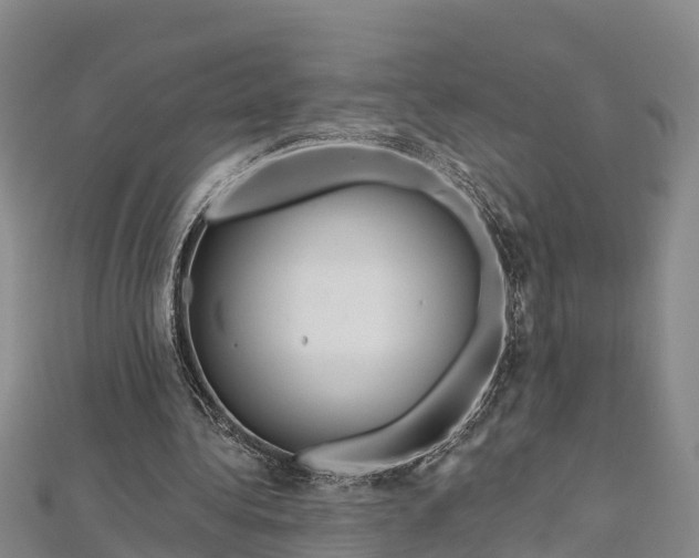 X0000112720340200909031421