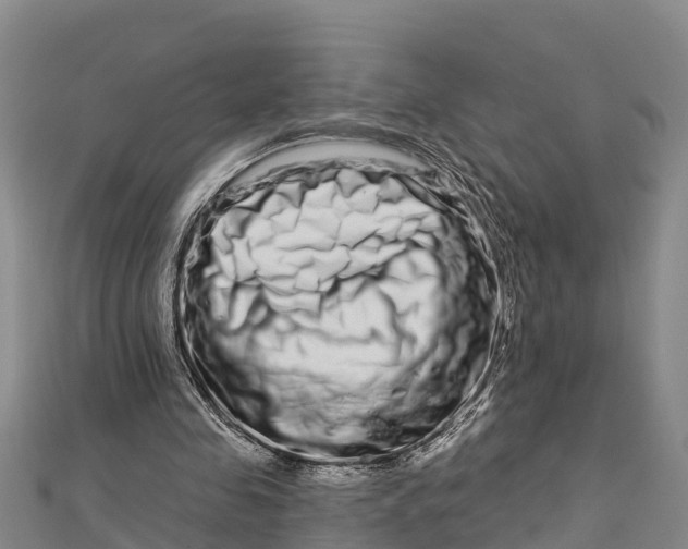 X0000112720341200909031421