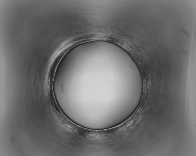 X0000112720343200909031421