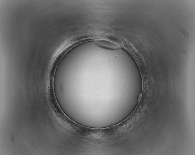 X0000112720344200909031421