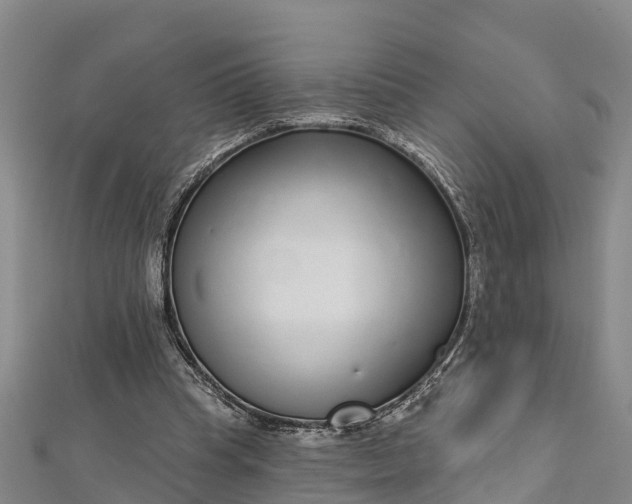 X0000112720345200909031421