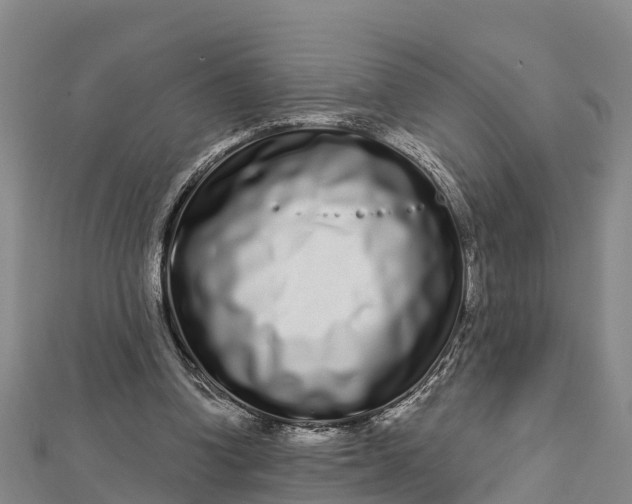 X0000112720346200909031421