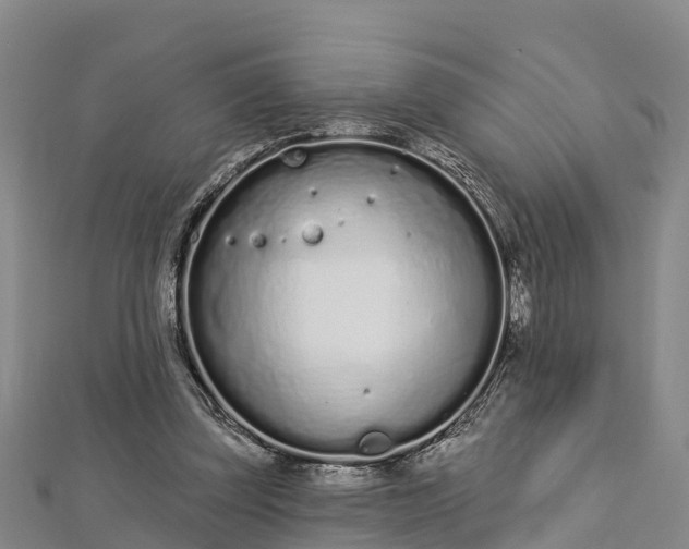 X0000112720347200909031421