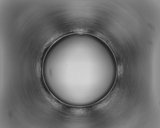 X0000112720349200909031421