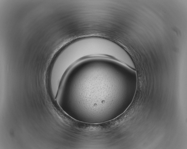 X0000112720350200909031421