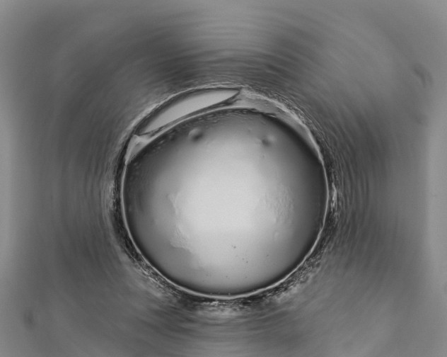 X0000112720351200909031421