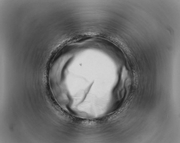 X0000112720354200909031421