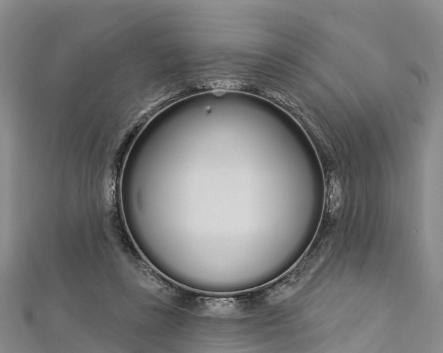 X0000112720355200909031421