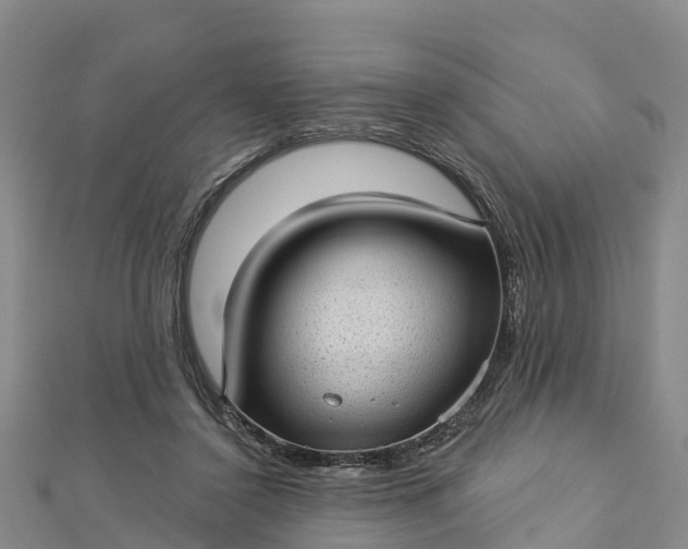 X0000112720356200909031421